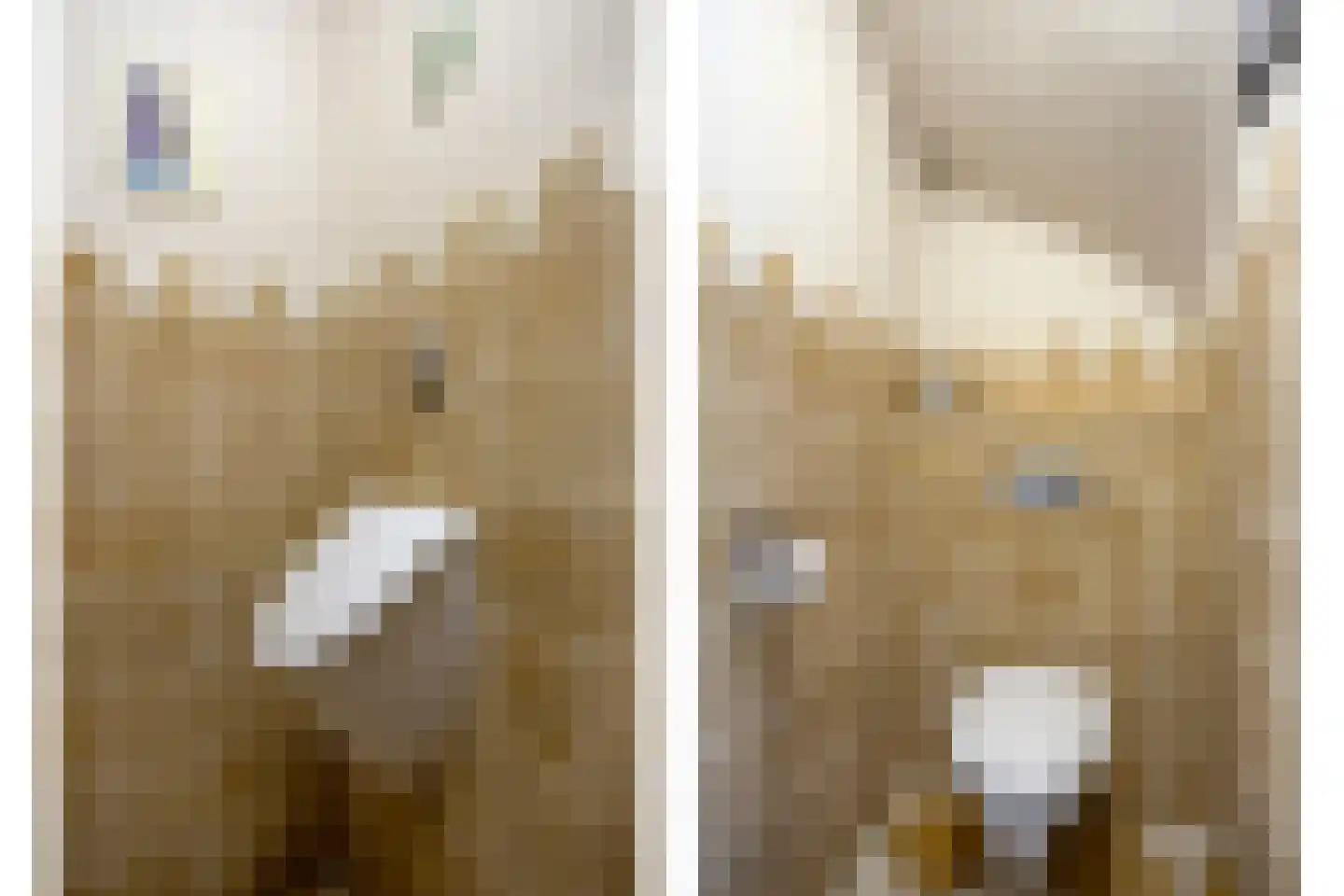 Warder 76 Warder thumbnail 37