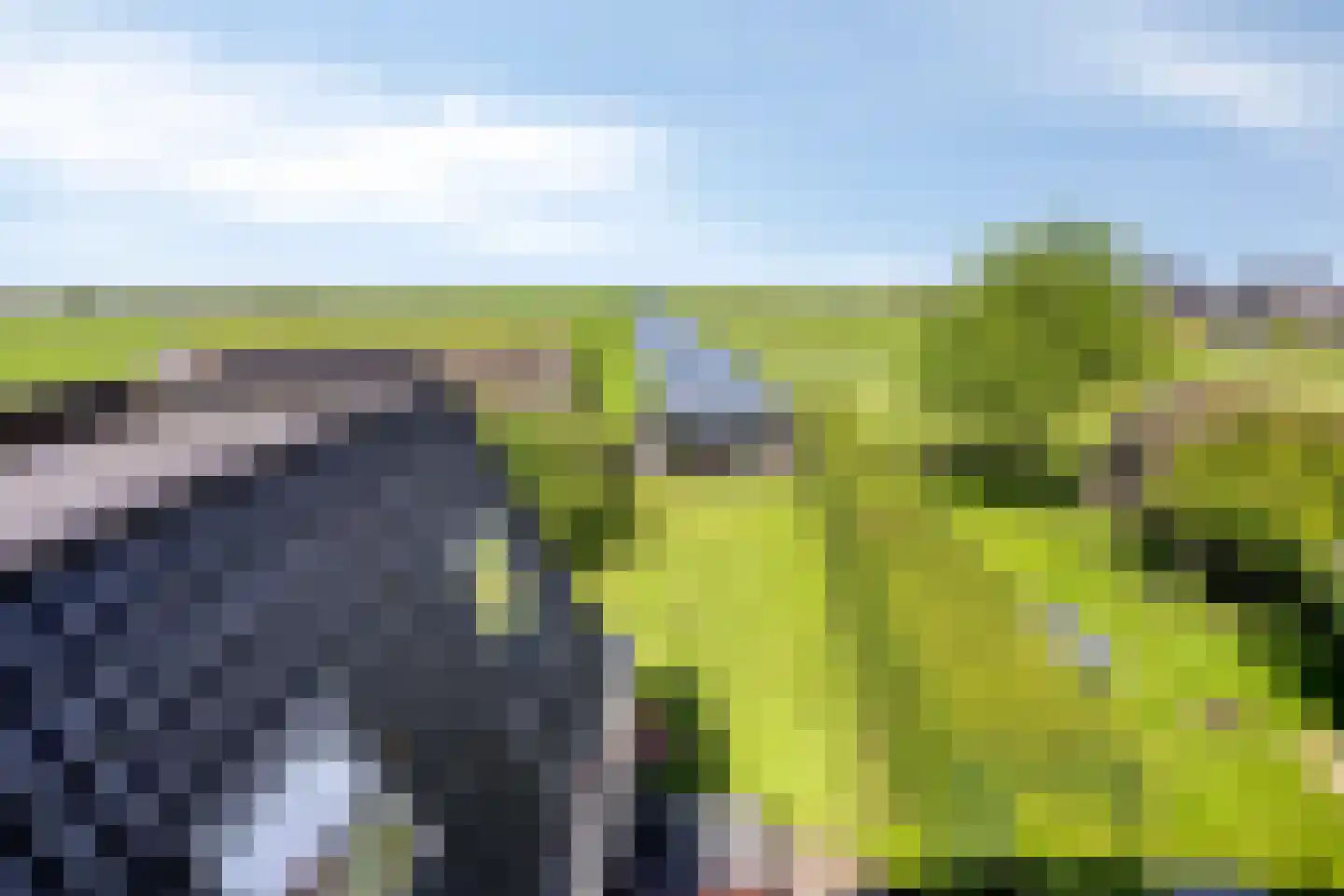 Warder 76 Warder thumbnail 4