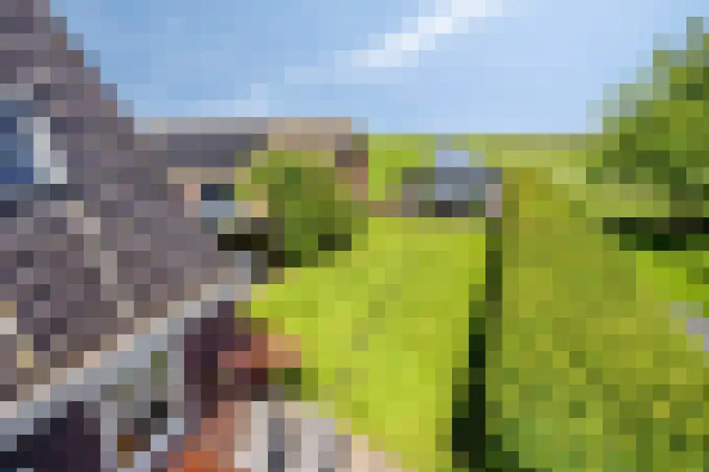 Warder 76 Warder thumbnail 47