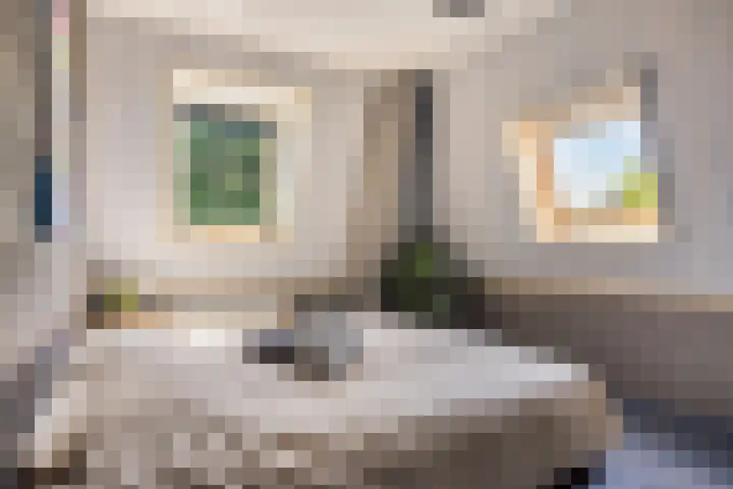 Warder 76 Warder thumbnail 48