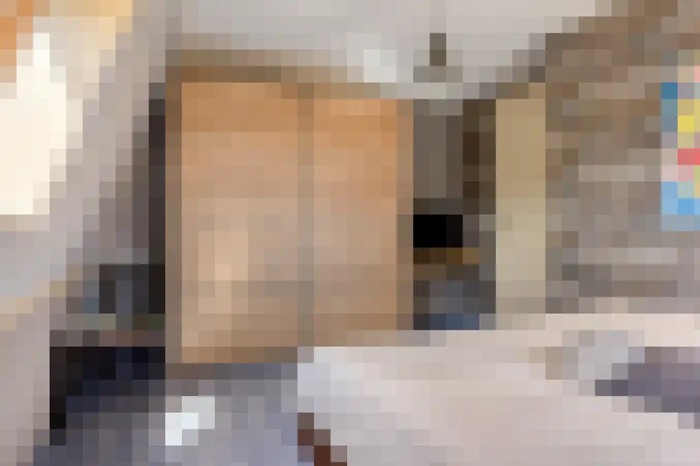 Warder 76 Warder thumbnail 49