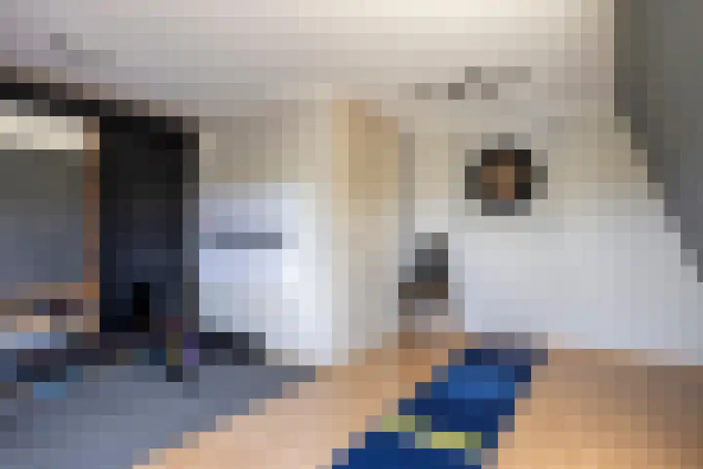 Warder 76 Warder thumbnail 55