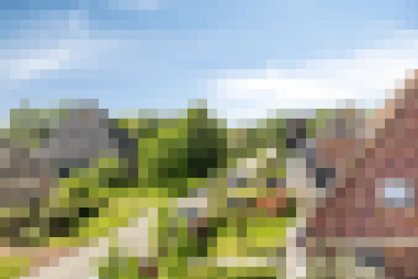 Warder 76 Warder thumbnail 58