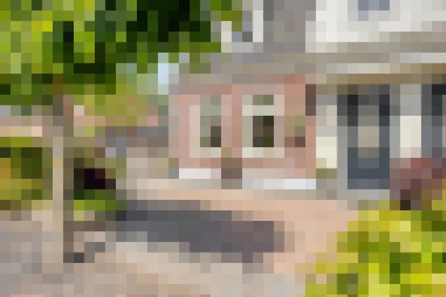 Warder 76 Warder thumbnail 6