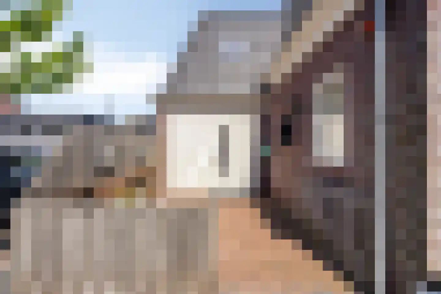 Warder 76 Warder thumbnail 60