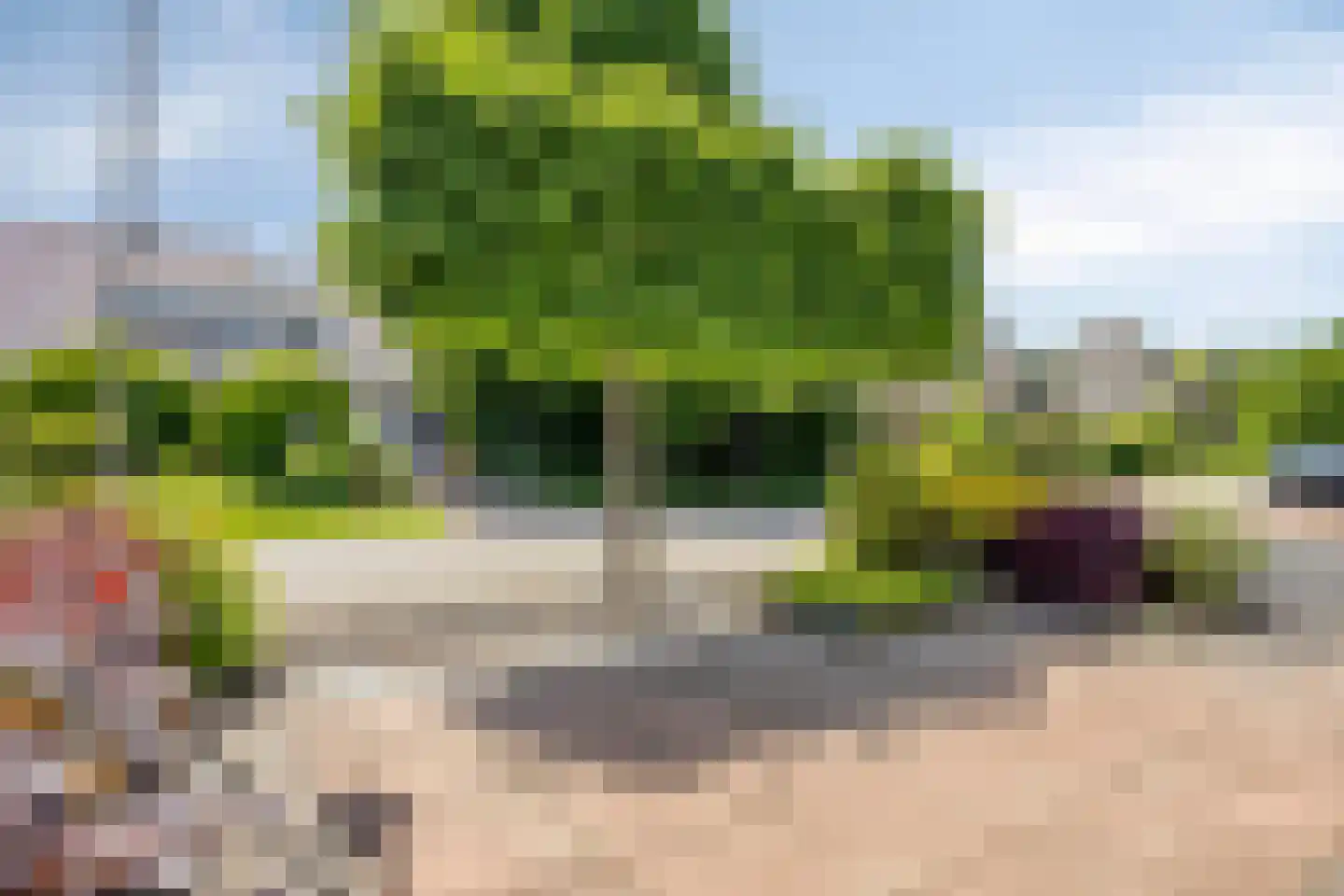Warder 76 Warder thumbnail 68
