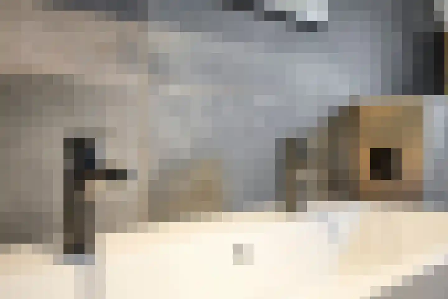 Warderhof 21 Emmeloord thumbnail 22