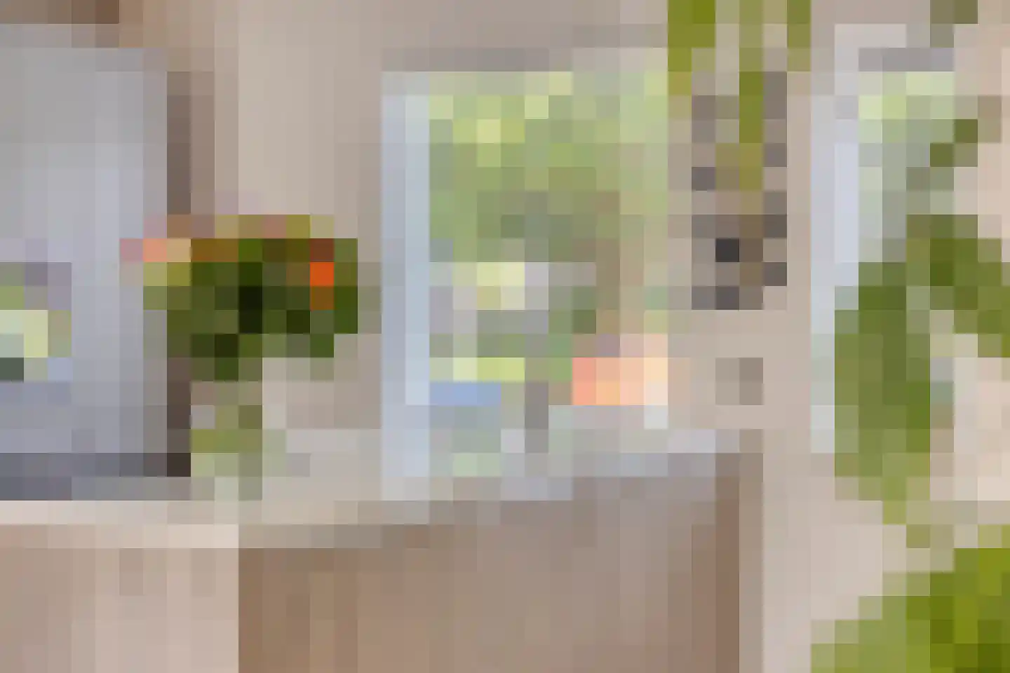 Warderhof 40 Emmeloord thumbnail 14