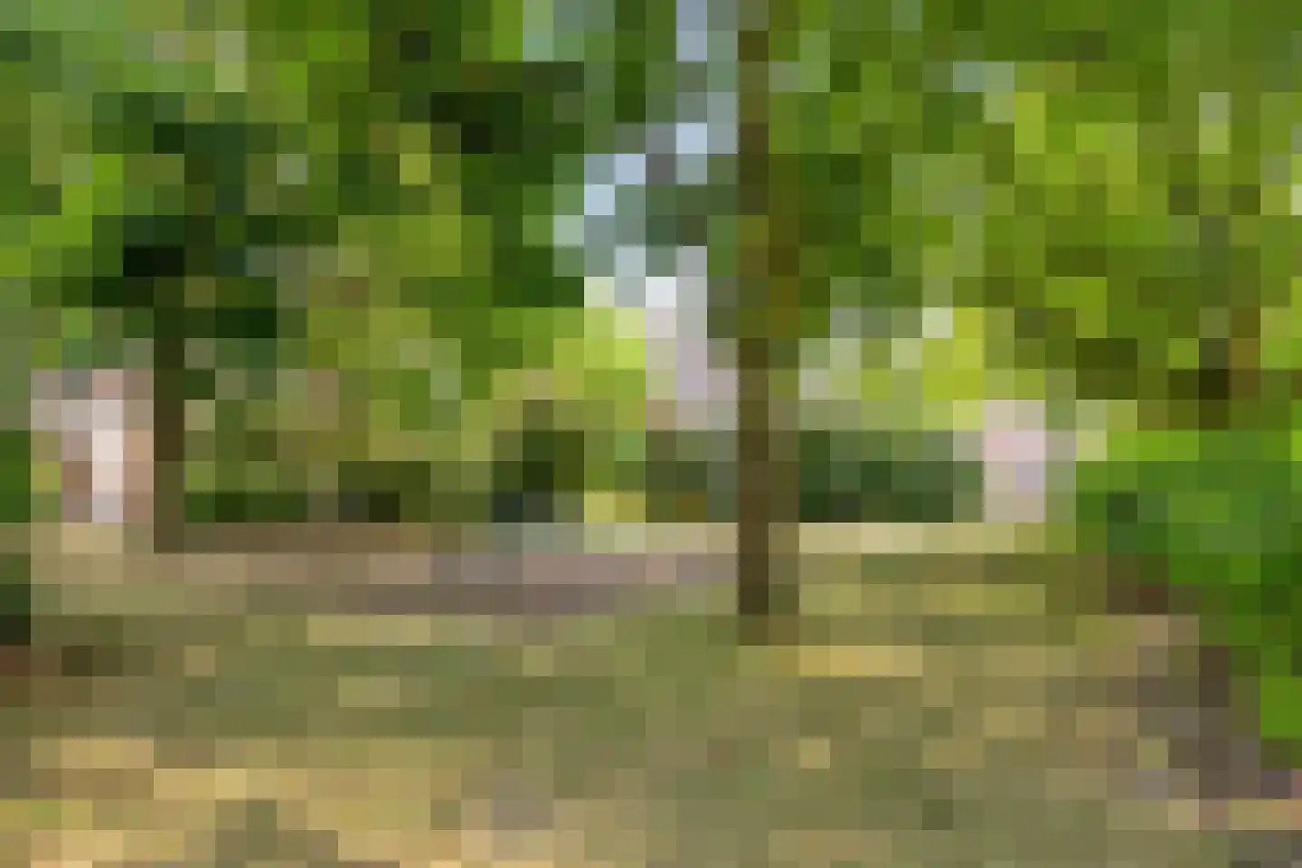 Warderhof 40 Emmeloord thumbnail 30