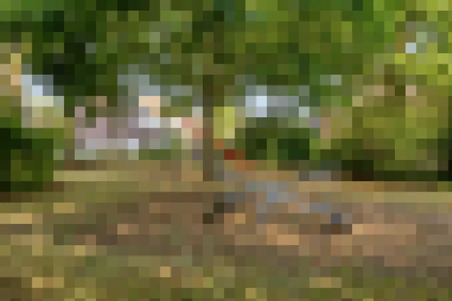 Warderhof 40 Emmeloord thumbnail 31