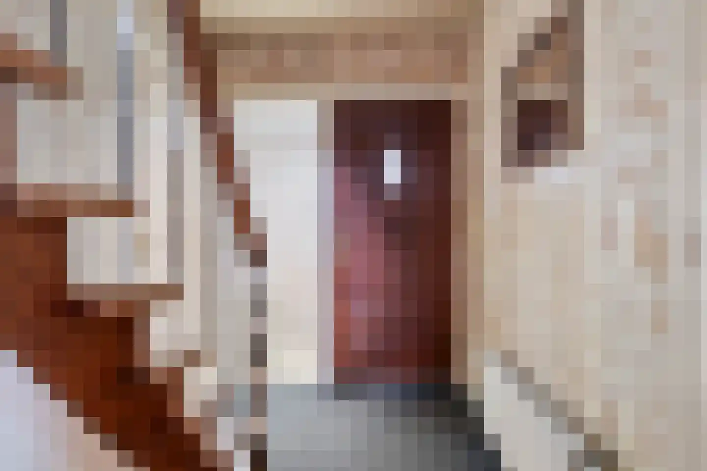 Warderweg 13 Oosthuizen thumbnail 8