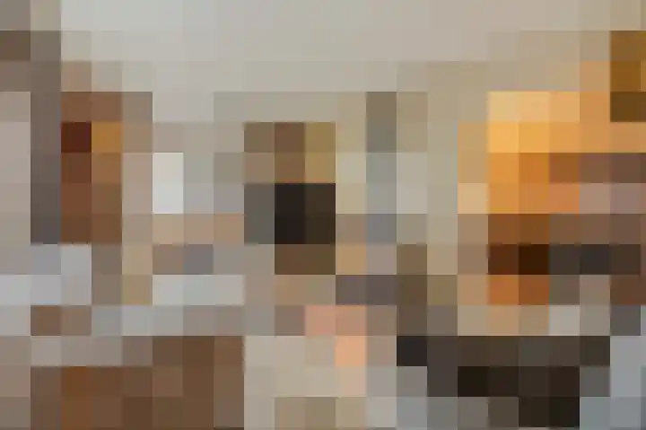 Wardstraat 16 Spijk thumbnail 16
