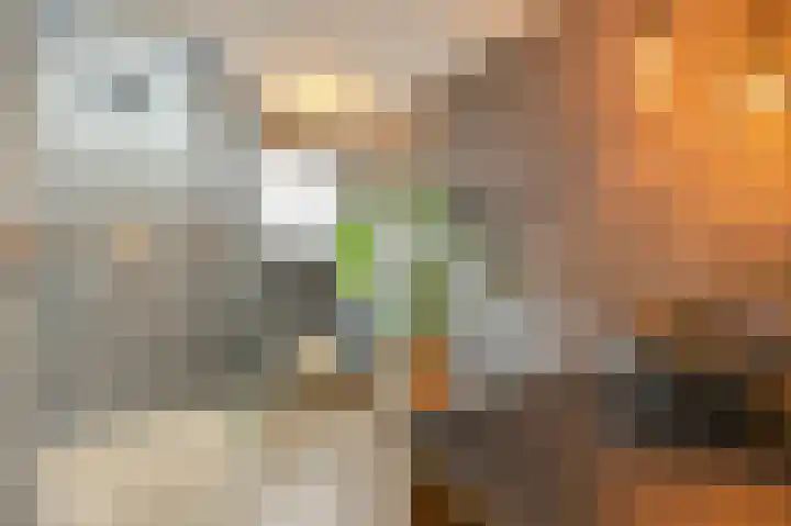 Wardstraat 16 Spijk thumbnail 44