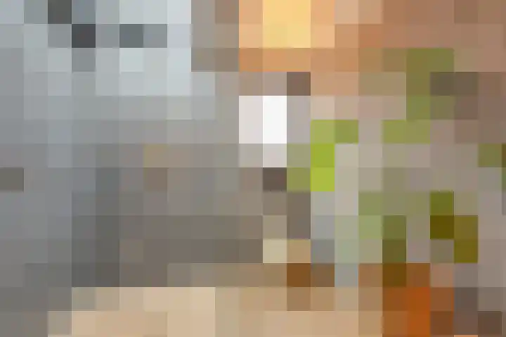 Wardstraat 16 Spijk thumbnail 45