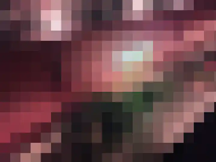 Wardstraat 16 Spijk thumbnail 62