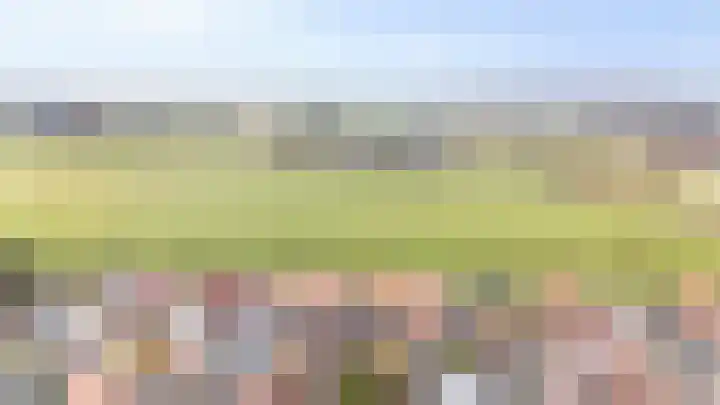 Wardstraat 16 Spijk thumbnail 7