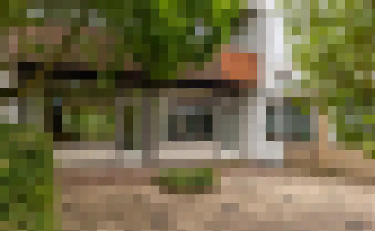 Wardstraat 41 Bemmel thumbnail 18