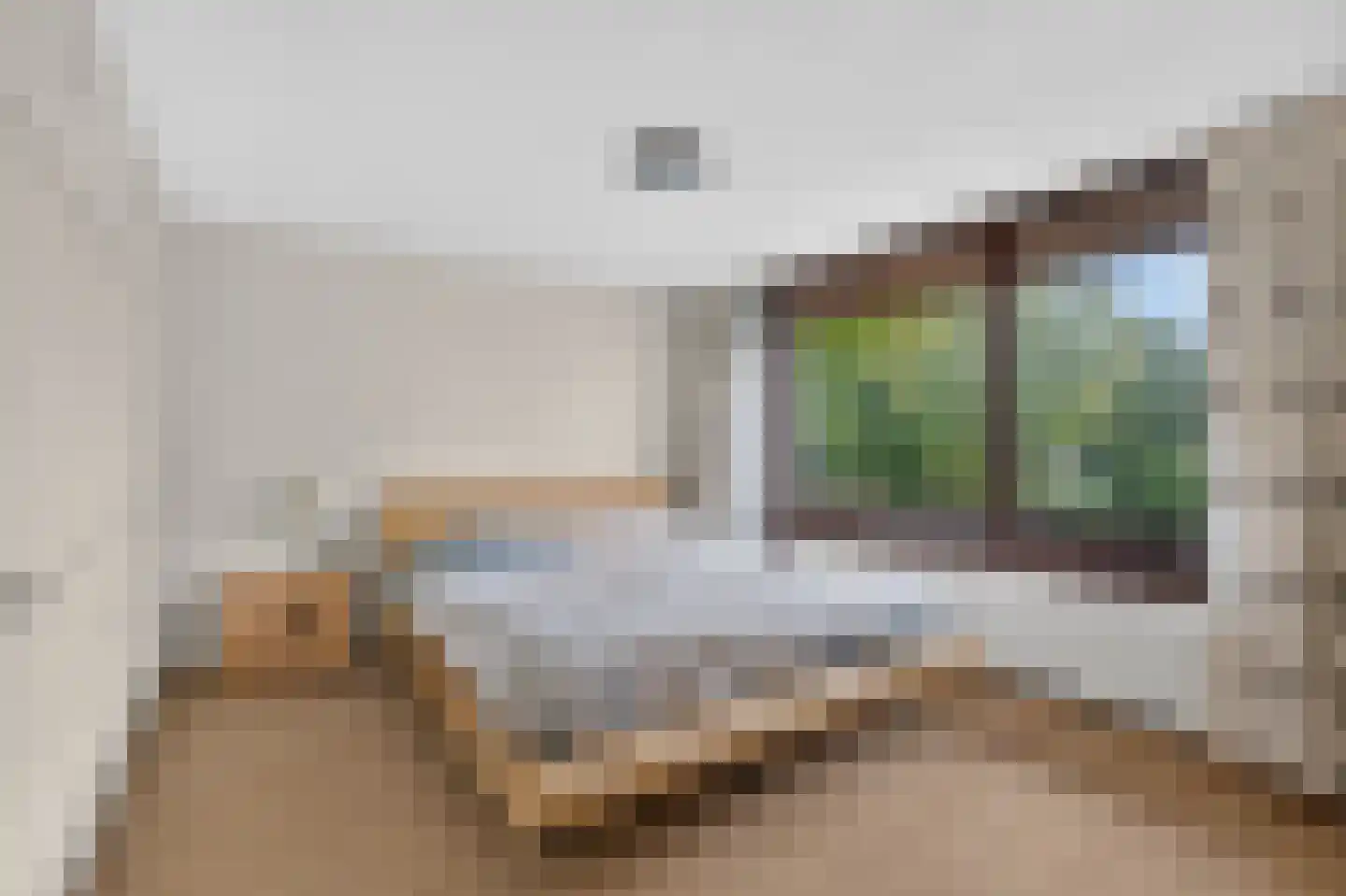 Wardstraat 41 Bemmel thumbnail 24