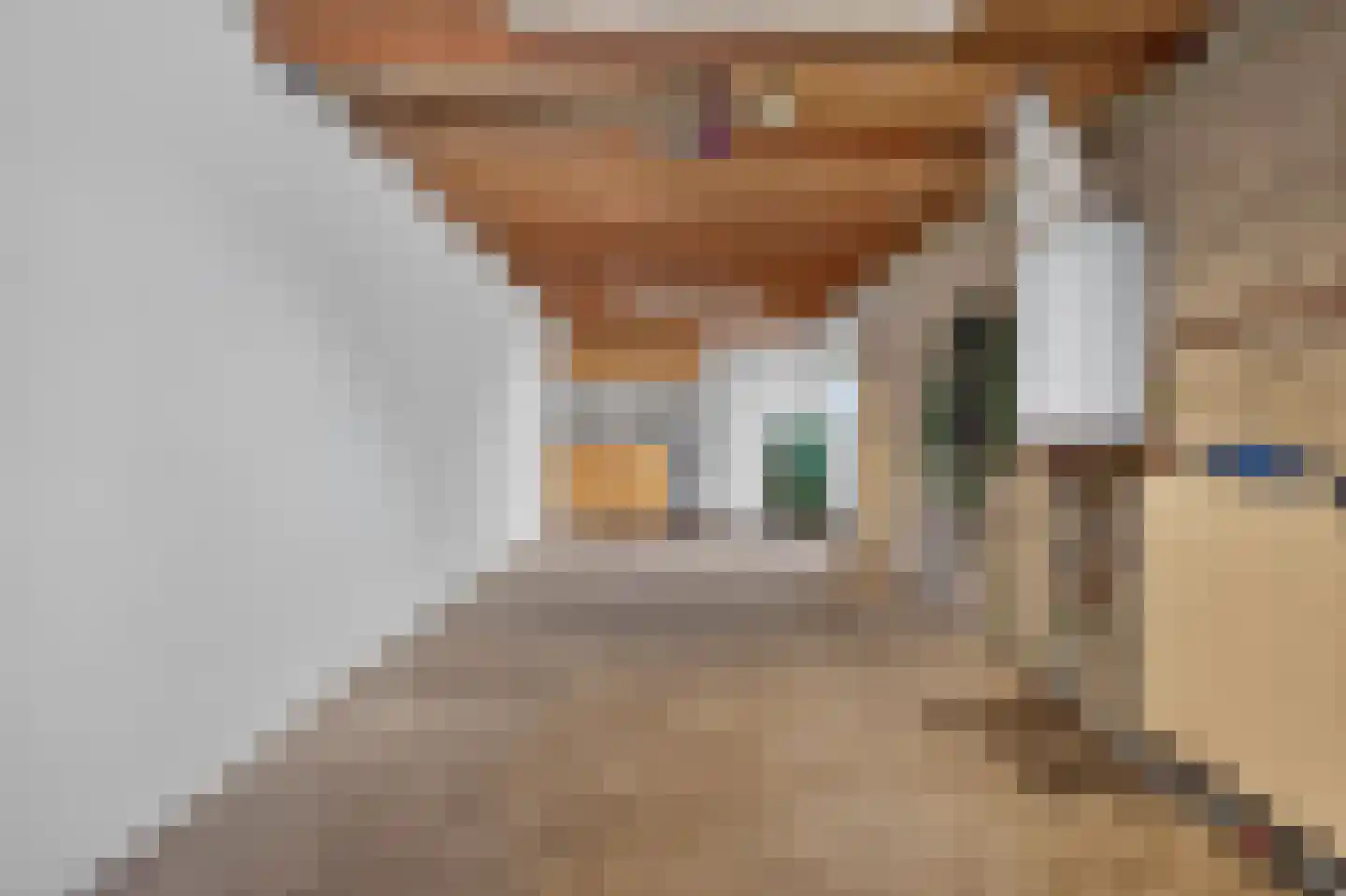 Wardstraat 41 Bemmel thumbnail 34