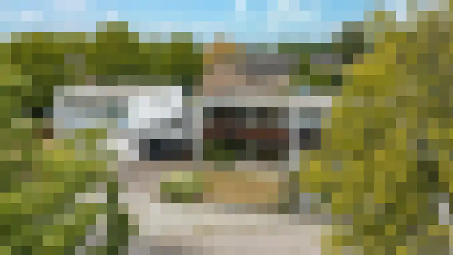 Wardstraat 41 Bemmel thumbnail 38