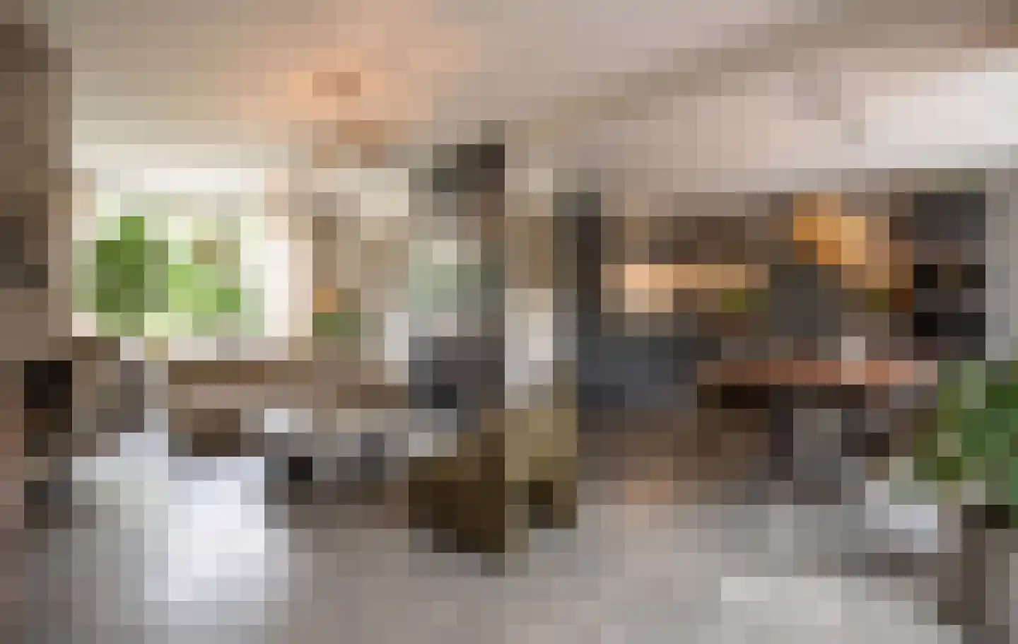 Wardstraat 41 Bemmel thumbnail 4