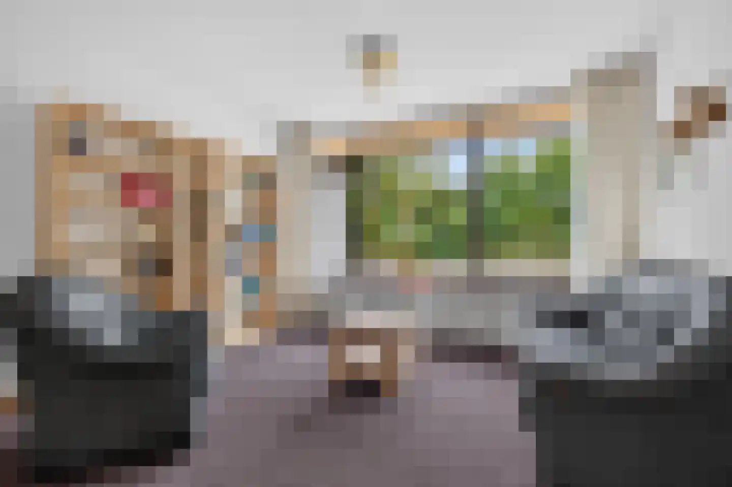 Wardstraat 41 Bemmel thumbnail 9