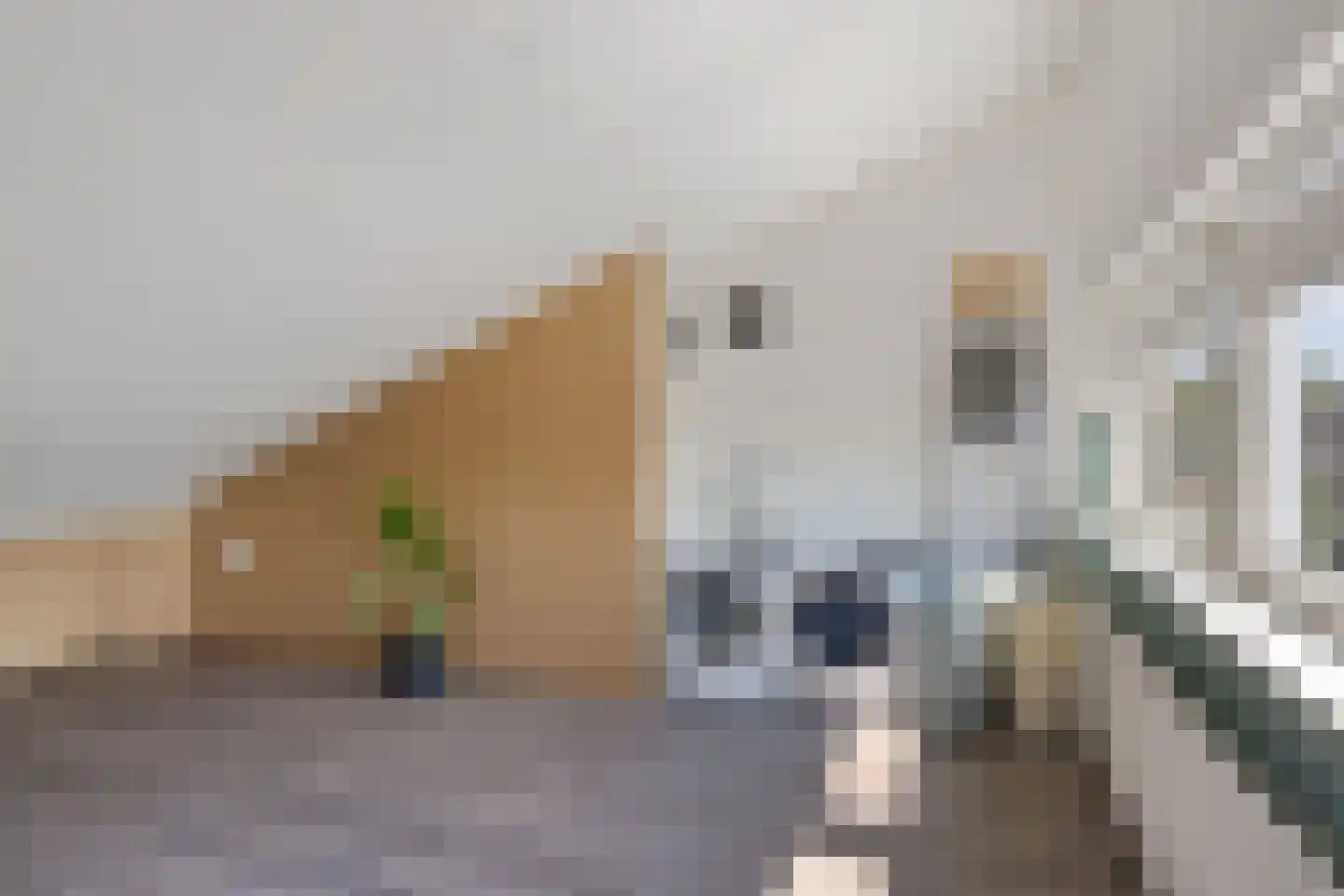 Waregemstraat 20 Hengelo thumbnail 23