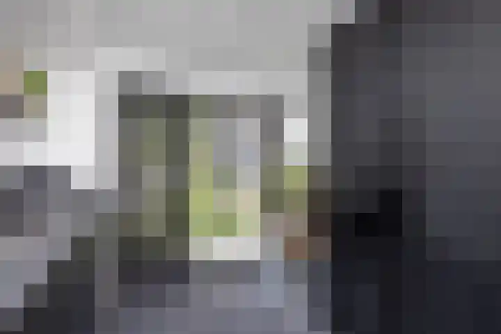 Waregemstraat 4 Hengelo thumbnail 10