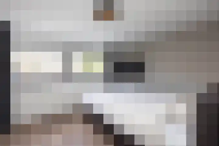 Waregemstraat 4 Hengelo thumbnail 14