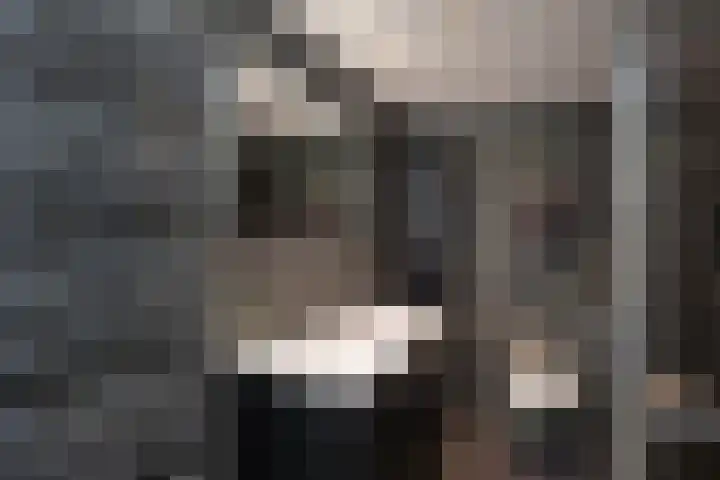 Waregemstraat 4 Hengelo thumbnail 16