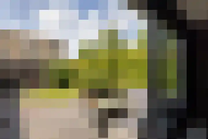 Waregemstraat 4 Hengelo thumbnail 24