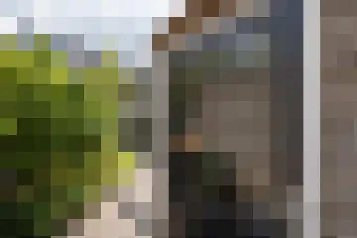 Waregemstraat 4 Hengelo thumbnail 27