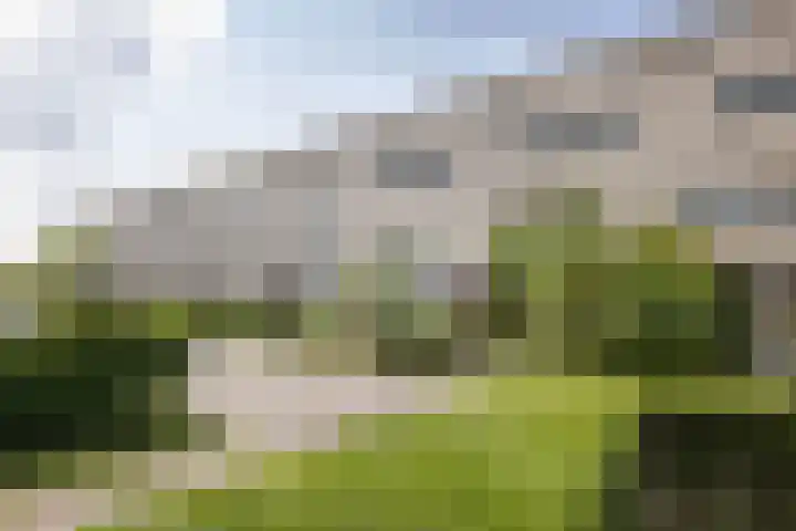 Waregemstraat 4 Hengelo thumbnail 31