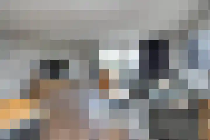 Waregemstraat 4 Hengelo thumbnail 4