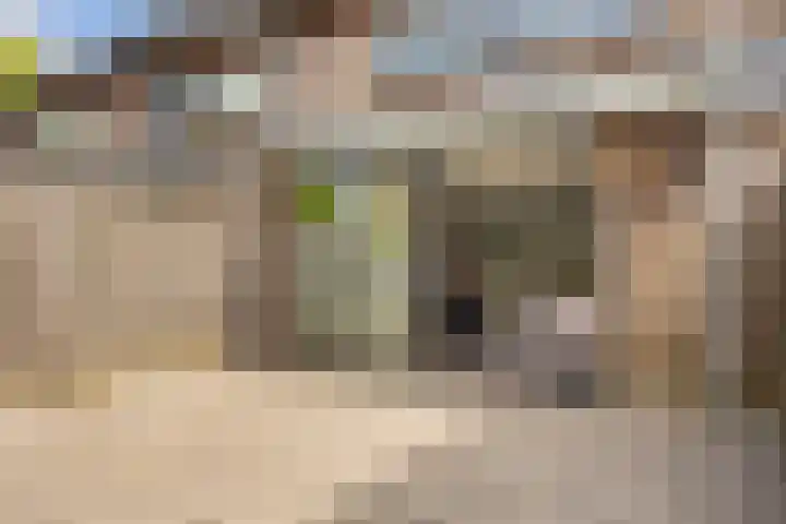 Waregemstraat 8 Hengelo thumbnail 31