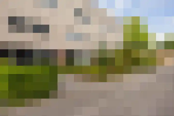 Waregemstraat 8 Hengelo thumbnail 34