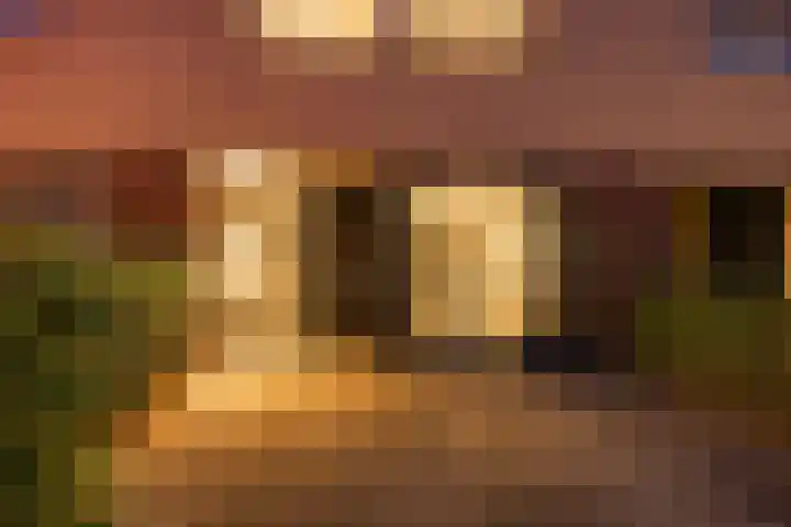 Waregemstraat 8 Hengelo thumbnail 7