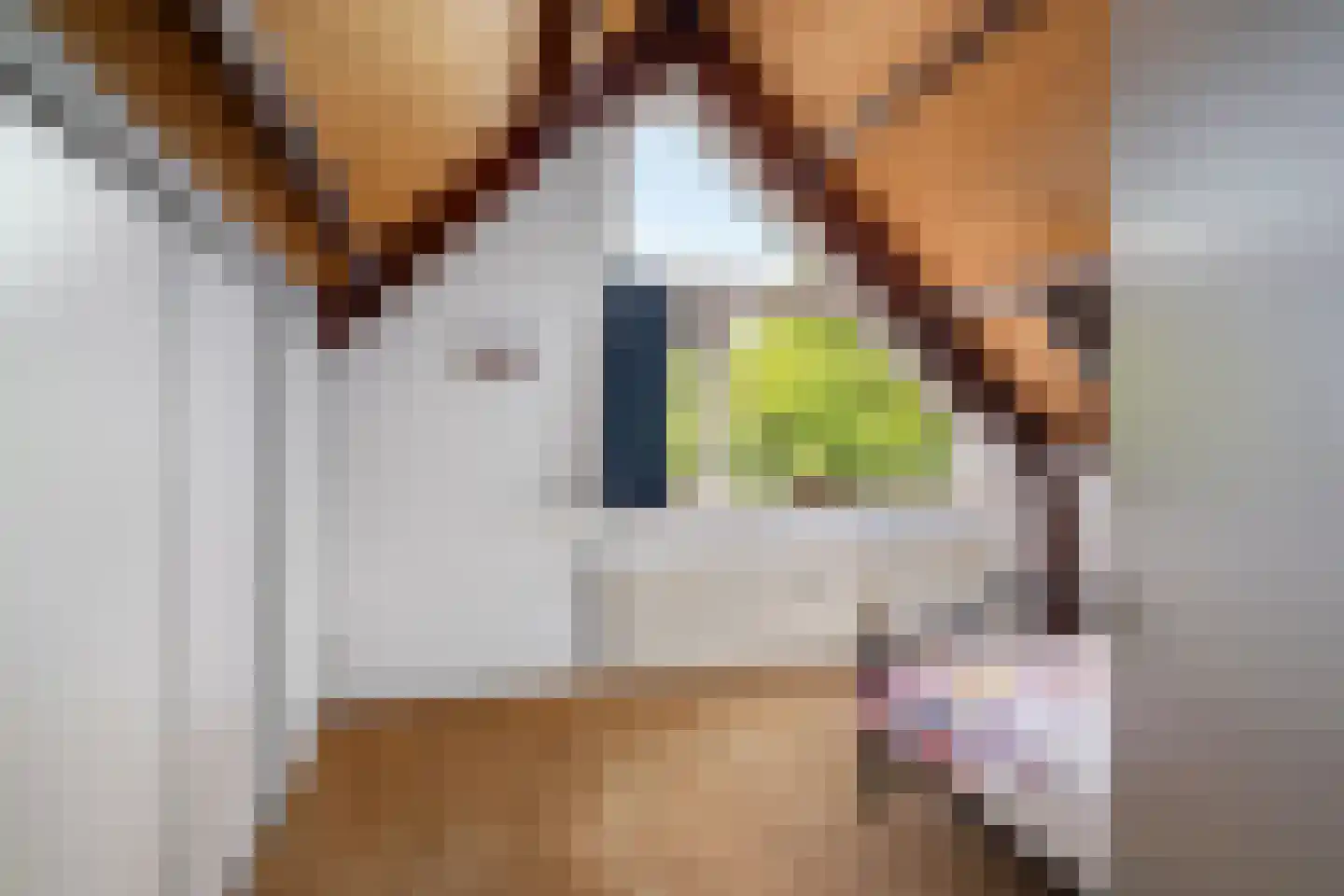 Warenarburg 43 Capelle aan den IJssel thumbnail 32