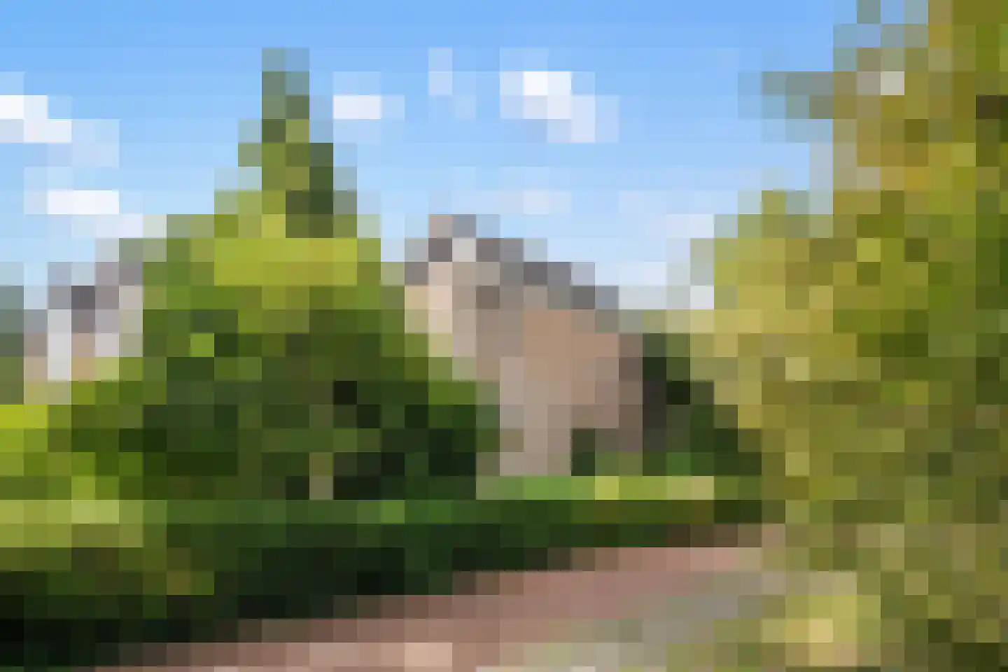 Warenarburg 43 Capelle aan den IJssel thumbnail 45