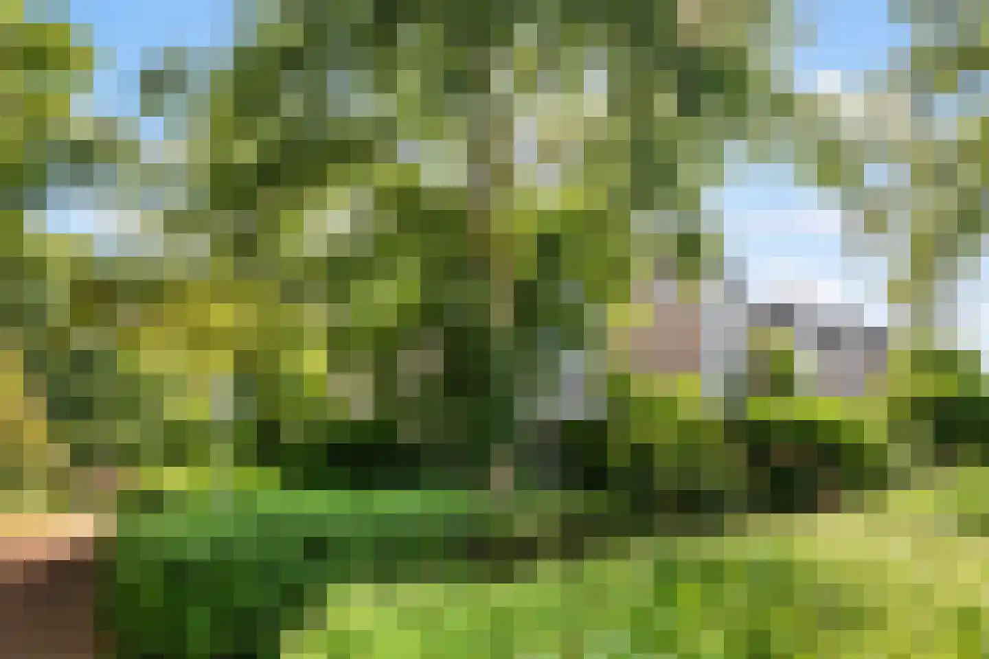 Warenarburg 43 Capelle aan den IJssel thumbnail 46