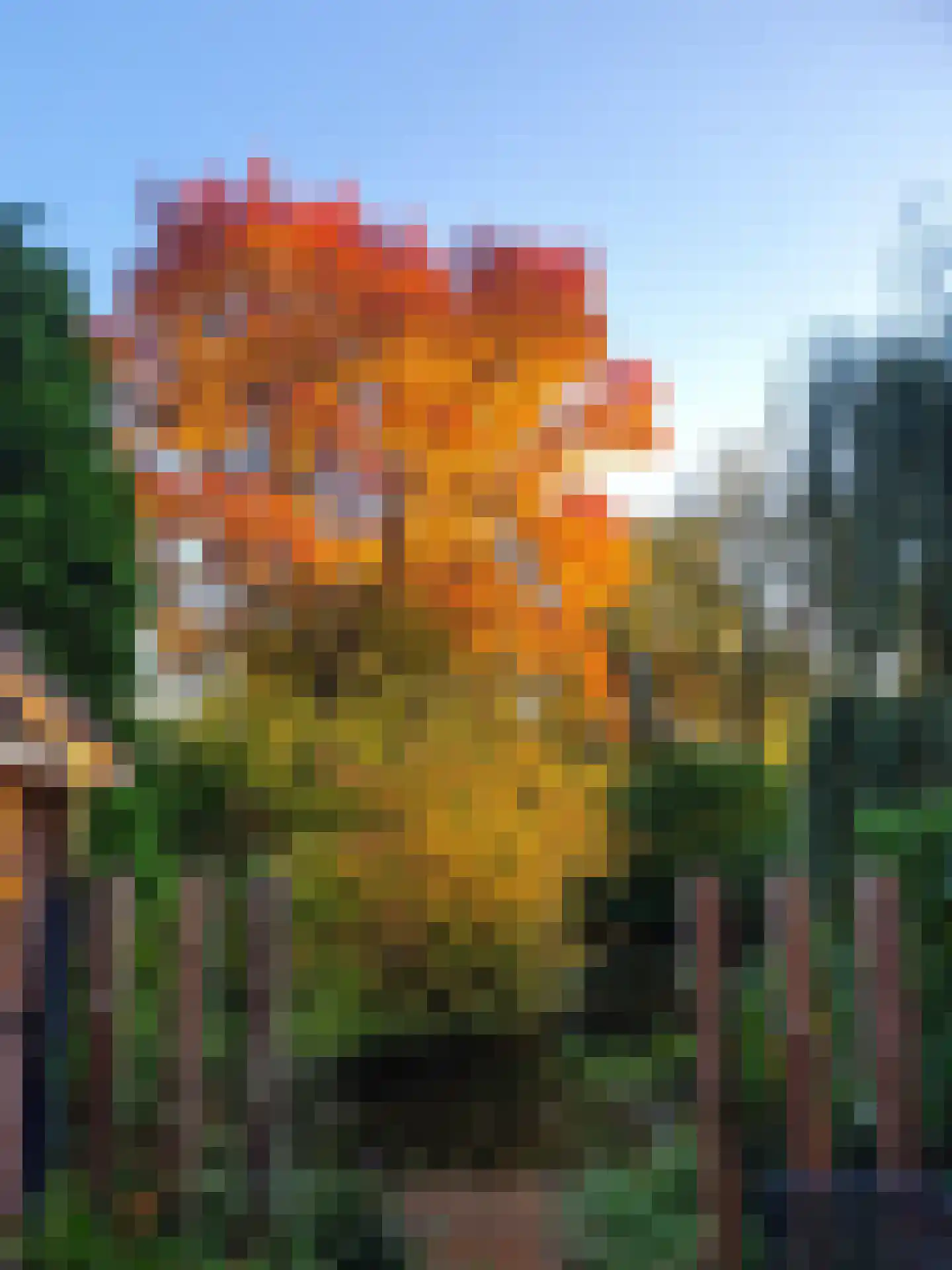 Warenarburg 43 Capelle aan den IJssel thumbnail 48