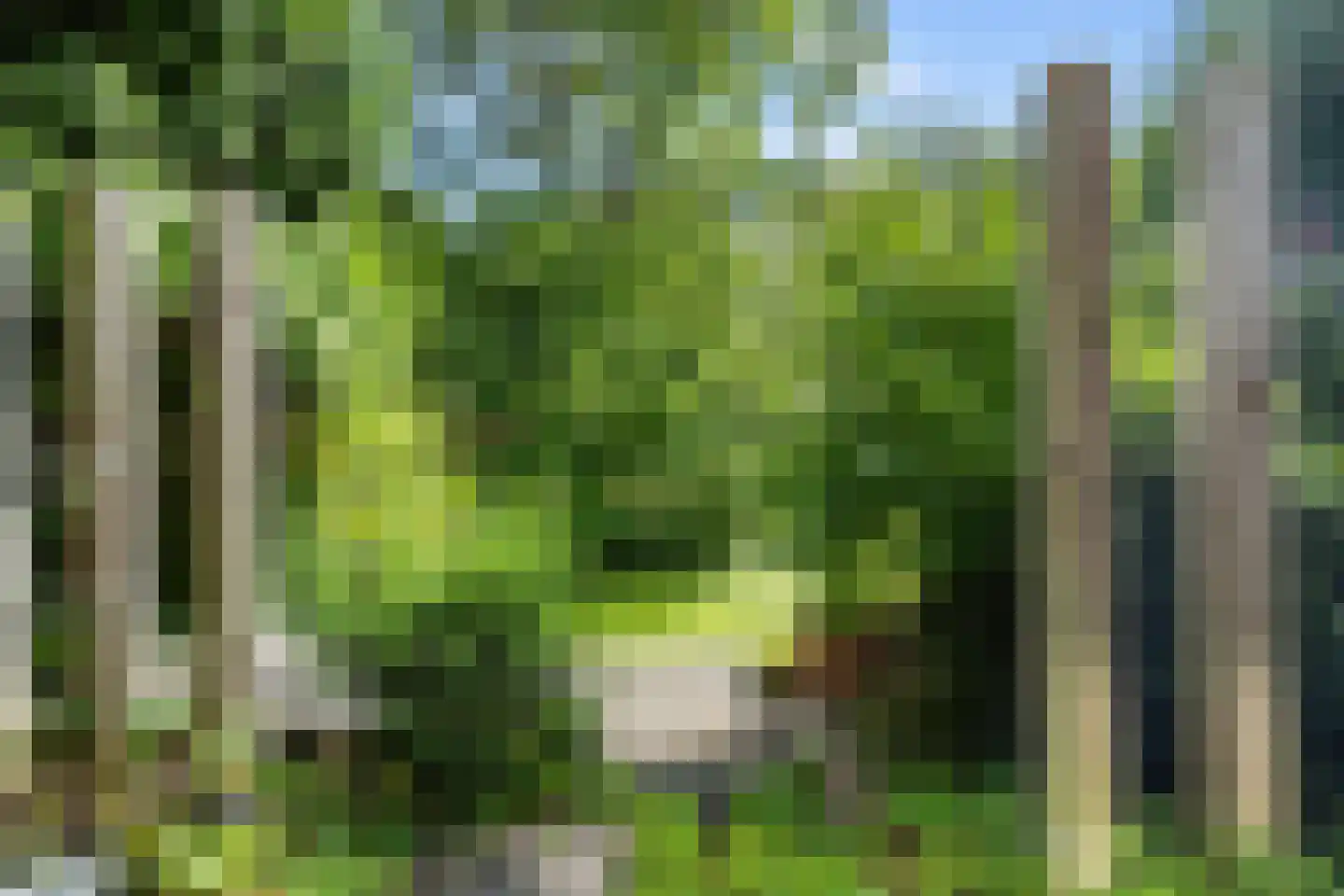 Warenarburg 43 Capelle aan den IJssel thumbnail 8