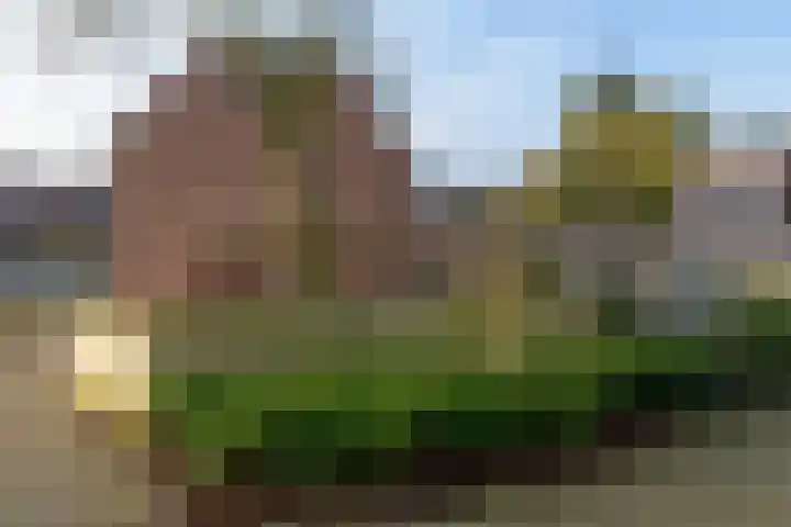 Warenargaarde 11 Apeldoorn thumbnail 23