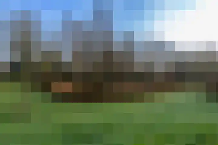 Warenargaarde 11 Apeldoorn thumbnail 25