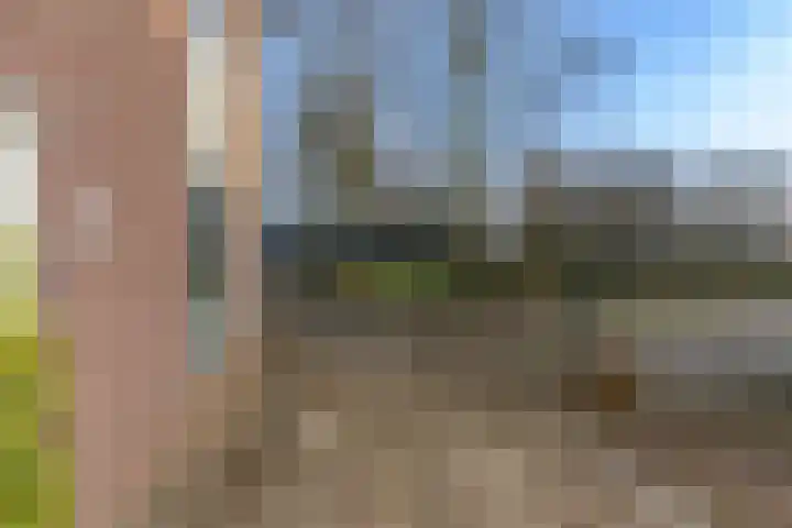 Warenargaarde 11 Apeldoorn thumbnail 26