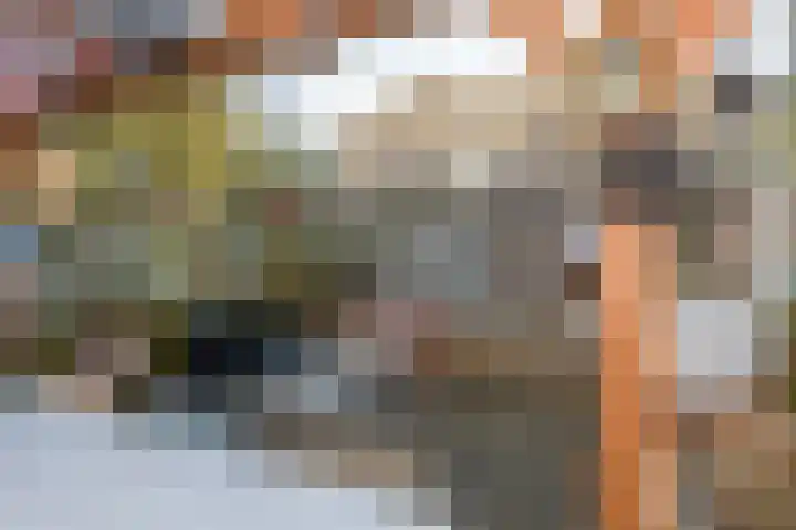Warenargaarde 11 Apeldoorn thumbnail 29