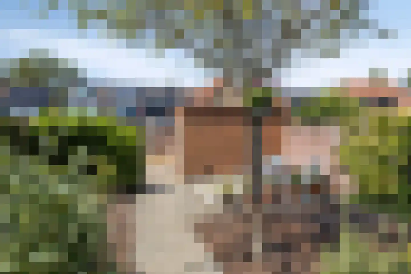 Warenargaarde 529 Apeldoorn thumbnail 36