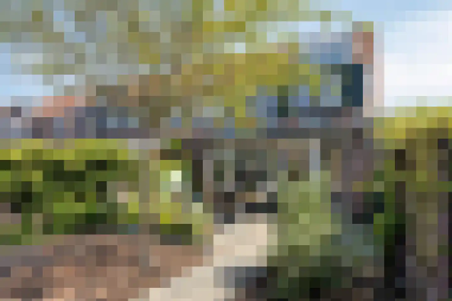 Warenargaarde 529 Apeldoorn thumbnail 39
