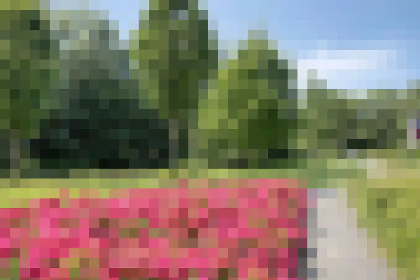 Warenargaarde 529 Apeldoorn thumbnail 43