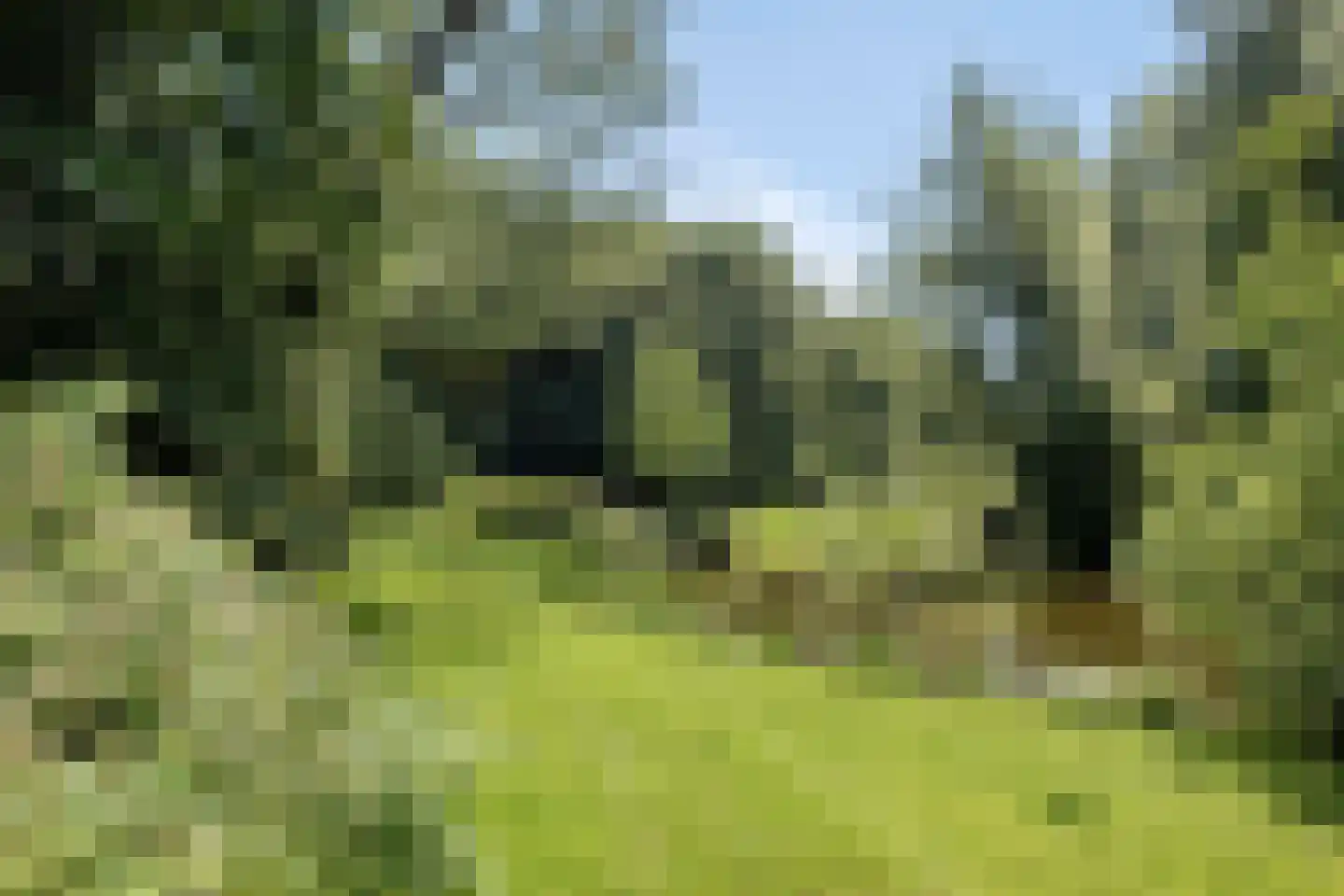 Warenargaarde 529 Apeldoorn thumbnail 44
